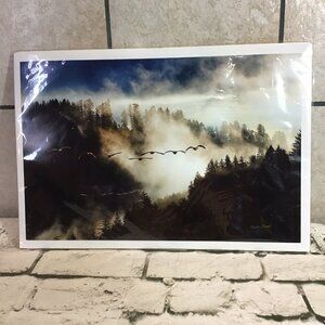 Odyssey Charles Draper Wildlife Photography Art Print Canadian Geese 2007